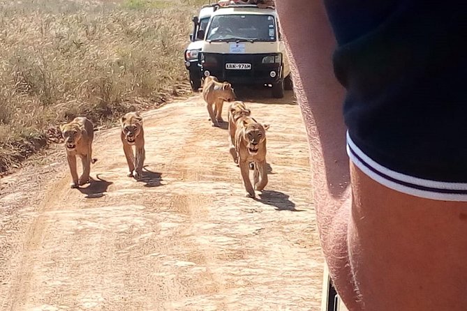 2 Days Maasai Mara National Reserve Safari From Nairobi - Transportation Logistics