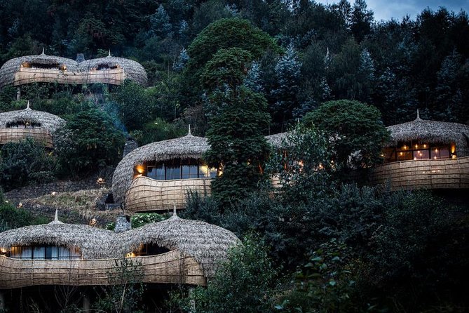 2 Days Mountain Gorilla Safari Rwanda - Customer Reviews