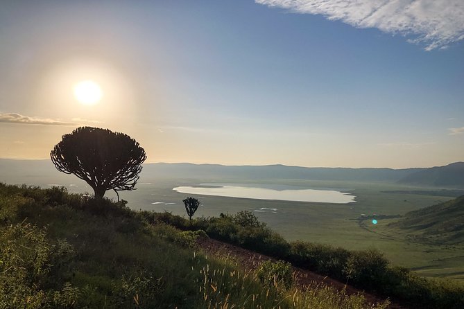 2 Days Private Tour to Ngorongoro and Tarangire National Park - Operator Information