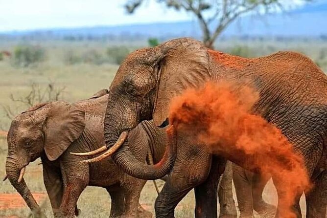 2 Days Safari Tsavo East - Itinerary Overview
