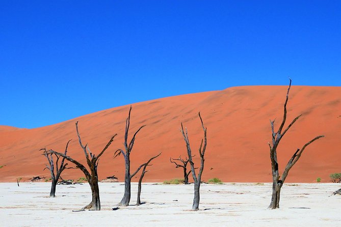 2 Days Sossusvlei Private Camping Tour - Tour Overview