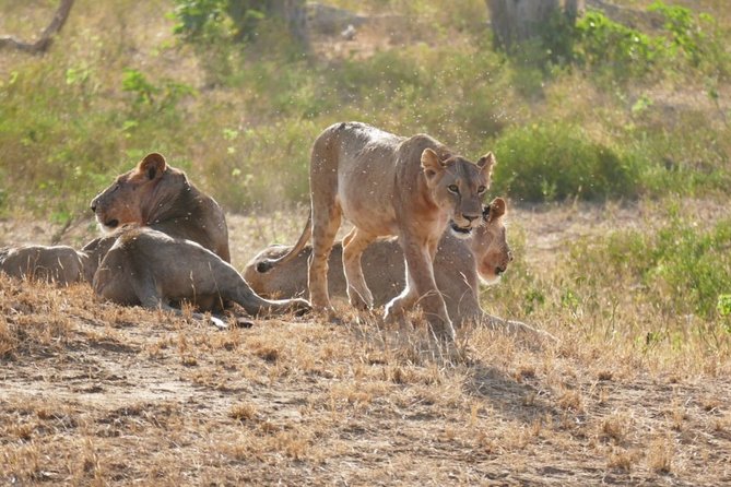2 Days Taita Hills Saltlick Safari (Minimum 2 Pax) - Cancellation and Refund Policy