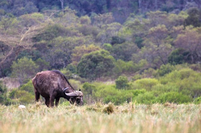 2 Days Tanzania Safari - Important Tips for Your Safari