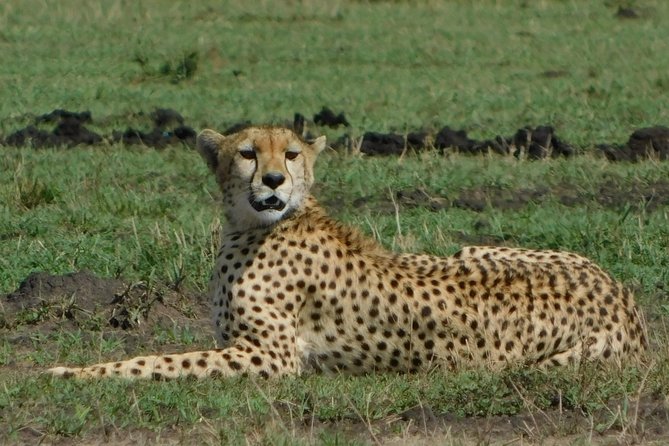 2 Days Tsavo East and West - Pickup and Drop-off Information
