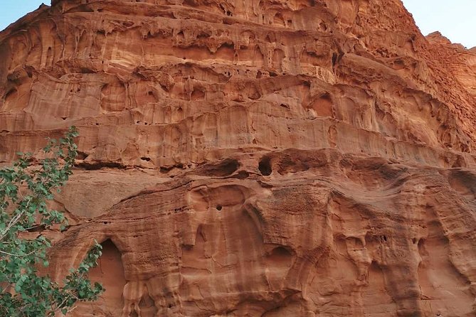 2-Hour Jeep Tour - Reviews and Ratings