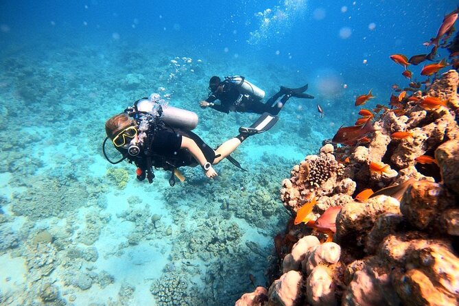 2-Hour Private Scuba Experience in Aqaba - The Sum Up