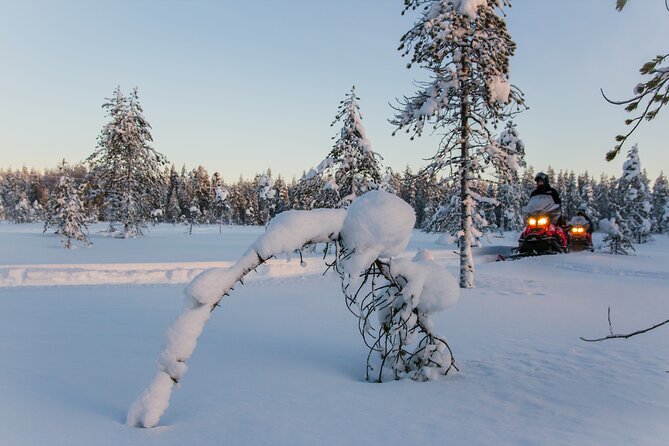 2-Hour Snowmobiling in Ylläs - Booking Guidelines