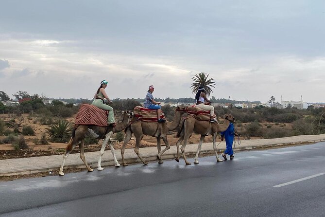 2 Hours Agadir Camel Riding Tour - Cancellation Policy