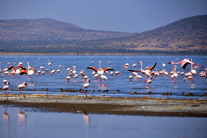 2Days Great Rift Valley Lakes ,megalithic Site Tiya & Addadi Mariam - Day 2: Great Rift Valley Lakes