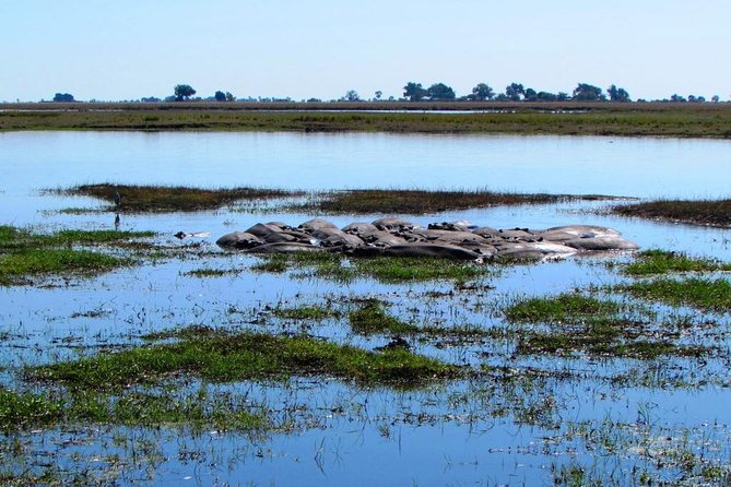 3 Day Chobe National Park Camping Safari - Logistics and Pickup Information