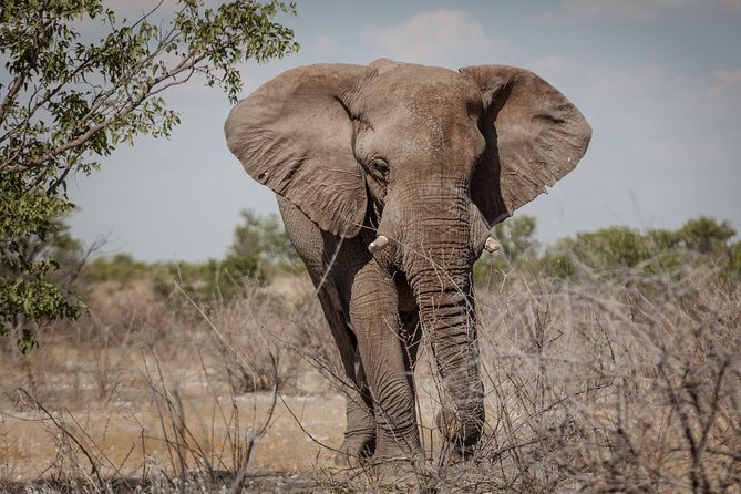 3 Day Etosha (Accommodated) Self Drive Tour - Pricing Details