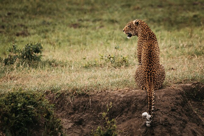 3-Day Masai Mara Luxury Safari - Exclusive Safari Experiences