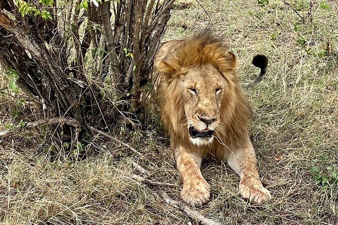 3-Day Masai Mara Safari From Nairobi - Additional Information