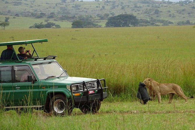 3-Day Murchison Falls National Park - Adventure Safari - Frequently Asked Questions