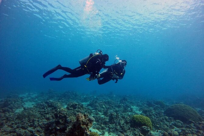 3-Day Open Water Scuba Diving Course in Aqaba - Price and Booking