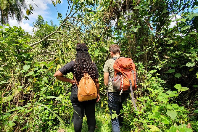 3-Day Private Chimpanzee Trekking Safari in Kibale Forest - Inclusions