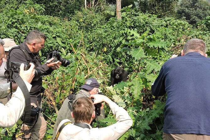 3-Day Private Gorilla Tour in Bwindi Impenetrable National Park - Booking and Reservation Process