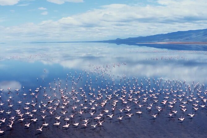 3-Day Safari Tarangire and Flamingo Walk Lake Natron Private Guided Tour - Frequently Asked Questions