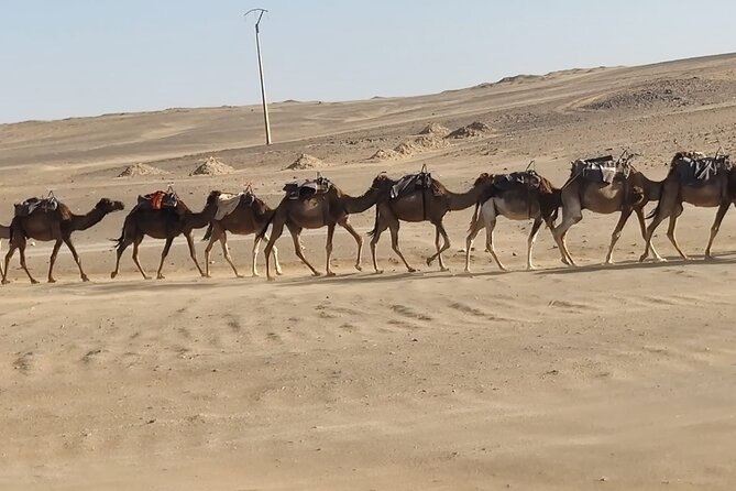 3-Day Trip From Fez to Marrakech via Merzouga Desert - Accommodations and Meals