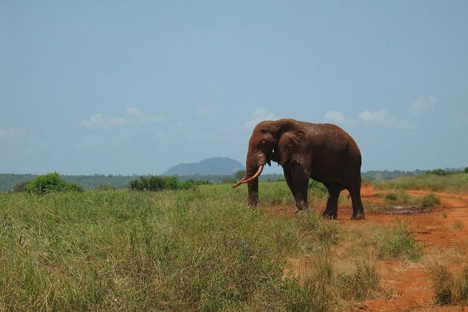 3-Day Tsavo East Safari From Mombasa - Pricing and Booking Details