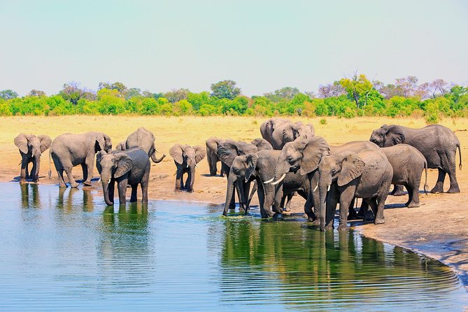 3 Day Victoria Falls Zambezi National Park Budget Safari Tour - Tour Overview