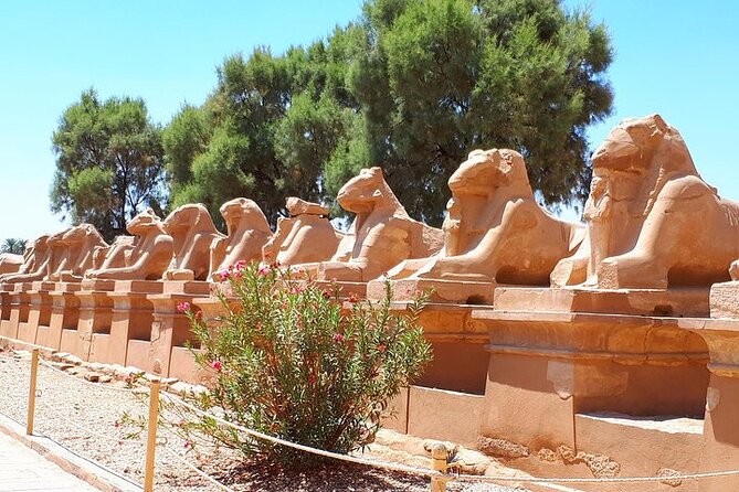 3 Days 2 Nights Private Aswan Nile Cruise From Luxor - Meeting and Pickup