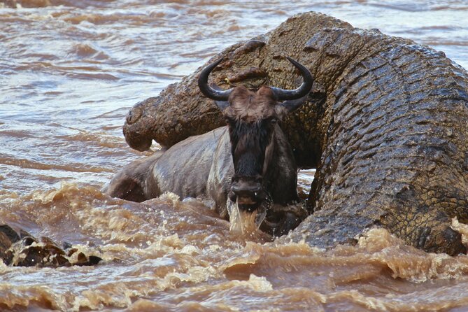 3 Days & 2 Nights Safari - Maasai Mara From Kisumu/Nairobi - Frequently Asked Questions