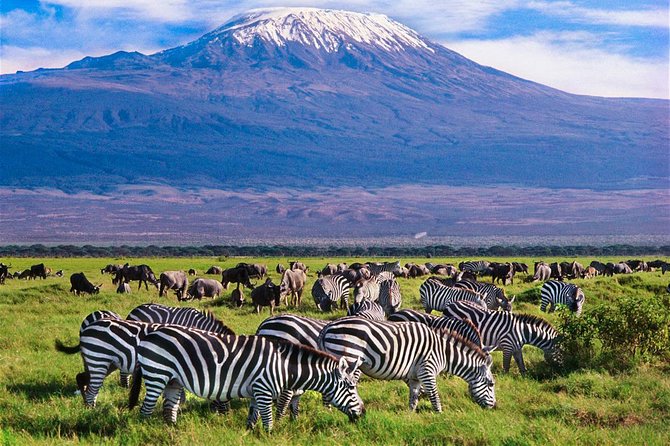 3 Days (2 Nights); Tsavo East & Amboseli Safari: - Frequently Asked Questions