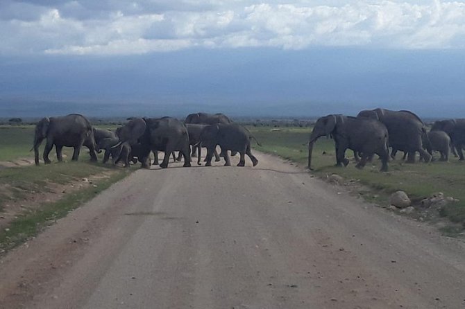 3 Days Amboseli Private Safari - Price and Cancellation Policy