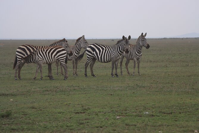 3 Days and 2 Nights Safari to Serengeti National Park - Itinerary Highlights