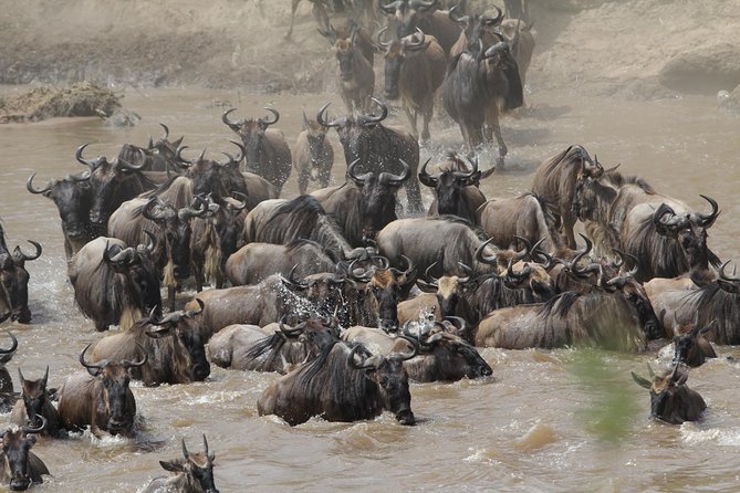 3 Days Camping Safari Tarangire, Lake Manyara and Ngorongoro Crater - The Sum Up