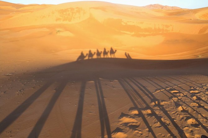 3 Days Desert Circuit Via Fez From Marrakech - Itinerary Overview