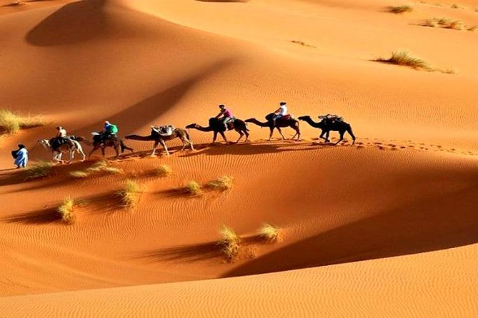3 Days Desert Tour : Agadir to Merzouga Dunes - Marrakech - The Sum Up