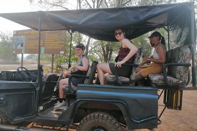 3 Days Elephants Safari at Mole Park With Round - Trip Flights - Travel Recommendations