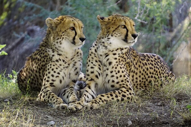 3 DAYS ETOSHA WILDLIFE SAFARI- Namibia (Camping) - Inclusions and Exclusions