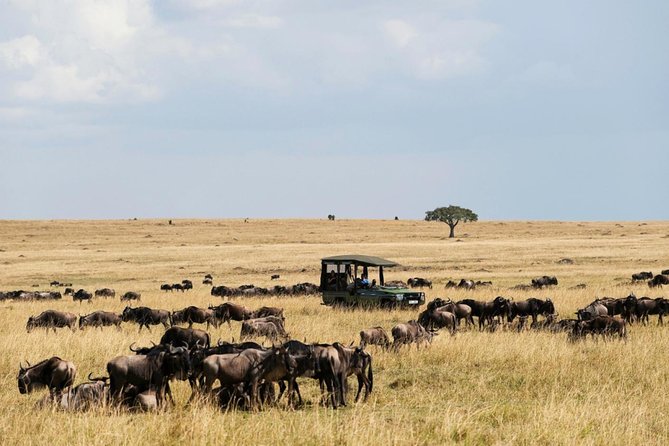 3 Days Maasai Mara Guided Safari From Nairobi - Frequently Asked Questions