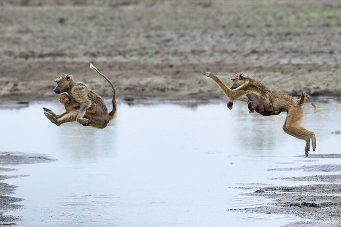 3 Days Nyerere National Park Safari (Selous Game Reserve) - Booking and Cancellation Policy