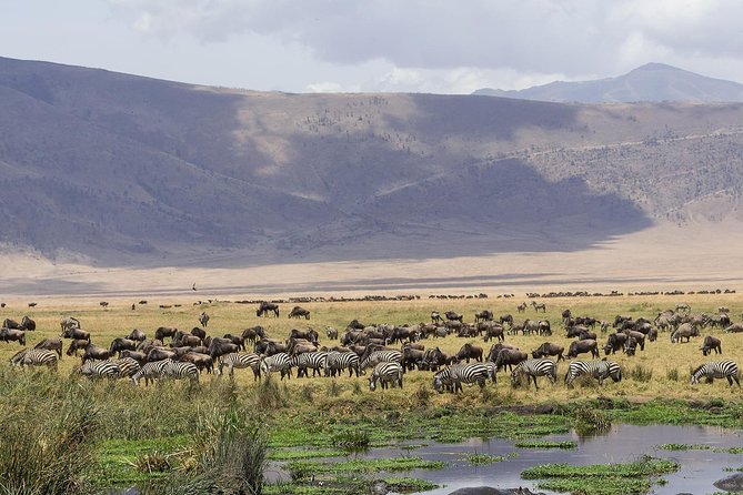 3 Days Safari to Tarangire ,Lake Manyara and Ngorongoro Crater - Inclusions