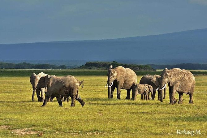 3 Days Safari Tsavo East and Amboseli National Park. - The Sum Up