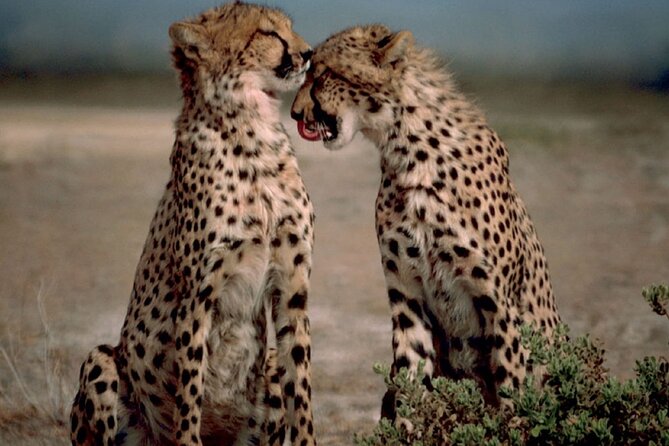 3 Days Tanzania Safari to Manyara Tarangire and Ngorongoro - Itinerary Overview