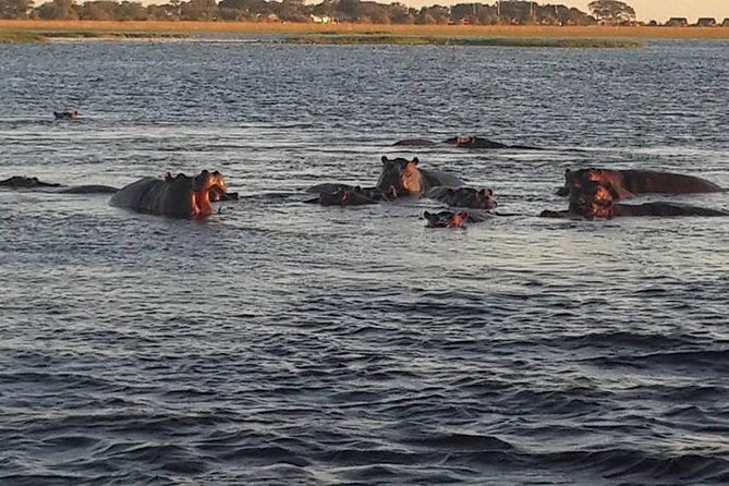 3 Days Ultimate Victoria Falls Safari in Zimbabwe - Expectations and Flexibility