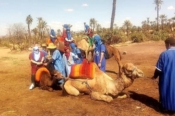 3 Hour Marrakech Combined Camel Ride & Quad Bike Tour - Frequently Asked Questions