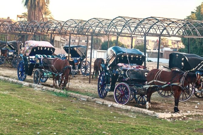 3-Hour Private Luxor Horse Carriage Experience Around Luxor City - Additional Information for Participants