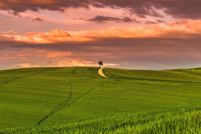 3-Hour Private Photographic Tour in Chianti and Val Dorcia Florence - Additional Considerations