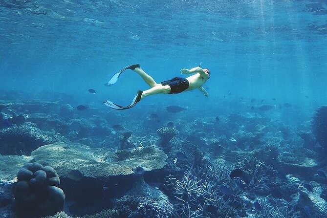 3 Hour Snorkeling and Dolphin Watching Experience in Muscat - Location and Start Time