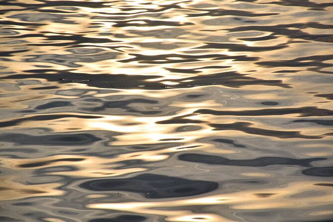 3 Hours Shared Sunset and Dolphin Safari in Fažana - Booking Information