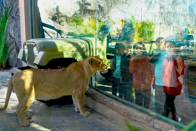 3 in 1 Fun With Viaport Theme Park With Aquarium and Lion Park - Ticket Options and Pricing