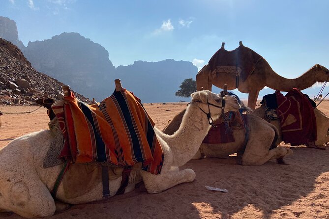 3 Night Desert Trekking Wadi Rum, Jordan With Camping & All Meals - Frequently Asked Questions