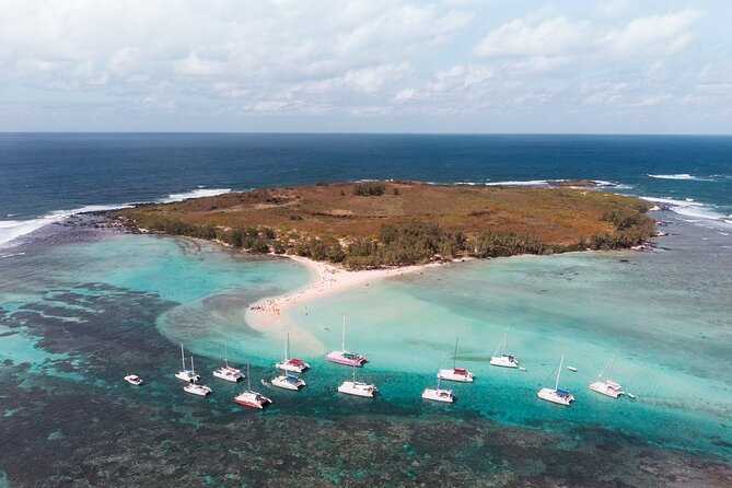 3 North Islands Catamaran Cruise With Lunch & Drinks on Island. - Guest Feedback and Experiences