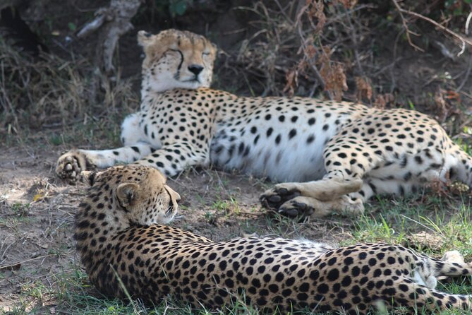 3days Masai Mara Private Safari With a 4x4 Land Cruiser Jeep - Inclusions in the Safari Package
